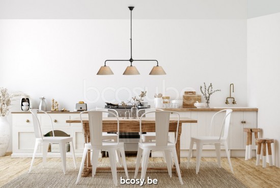 Marckdael VVD billiardo-biliardo zwart pendel VVD VDV Verlichting van Dijck Dyck Markdaal.