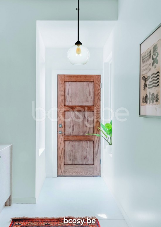 Marckdael pendel Billiardo-Biliardo Marckdael 0193-S1-GL-NE-GLOBE-CLEAR-KL Billiardo zwart pendel H min 47 max 75cm VVD VDV Verlichting van .