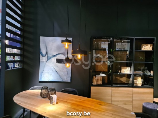 Marckdael VVD VDV Verlichting van Dijck Dyck Markdaal.