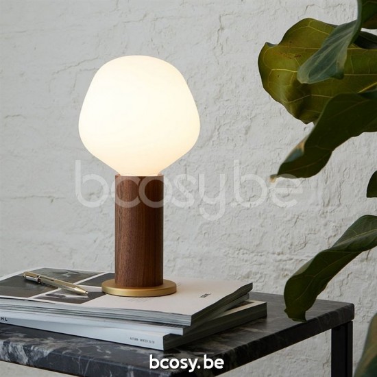 Marckdael VVD bulbs 11-TAENNO Porcelain-Porcelein lamp VVD VDV Verlichting van Dijck Dyck Markdaal.