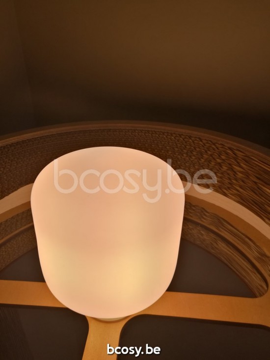 Marckdael VVD bulbs 11-TAOBLO Porcelain-Porcelein lamp VVD VDV Verlichting van Dijck Dyck Markdaal.