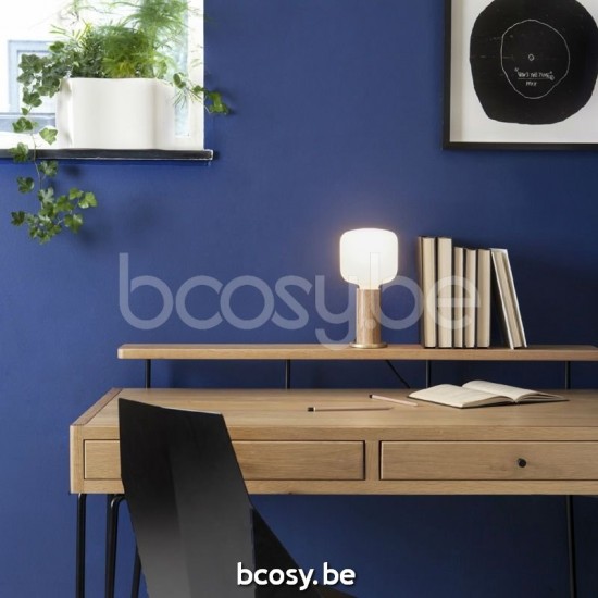 Marckdael VVD VDV EAN barcode 1x5420059266489 Verlichting van Dijck Dyck Markdaal VVD VDV.