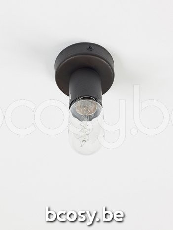 Marckdael Plafondlamp Toula Marckdael 3345-PL1-RU Vintage roest marron kastanjebruin Plafondlamp H 8,5cm VVD VDV Verlichting van Dijck Dyck .