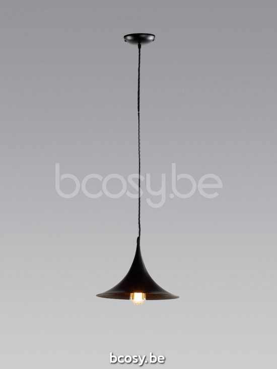 Marckdael 9031-1SB-BG-CONO C-VDV 9031-1SB-BG-CONO Verlichting van Dijck van Dyck Markdaal