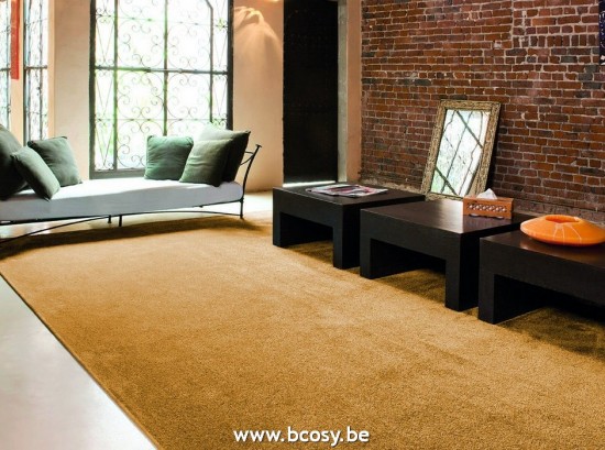 aLaCarte3 Daffodil tapis moquettes