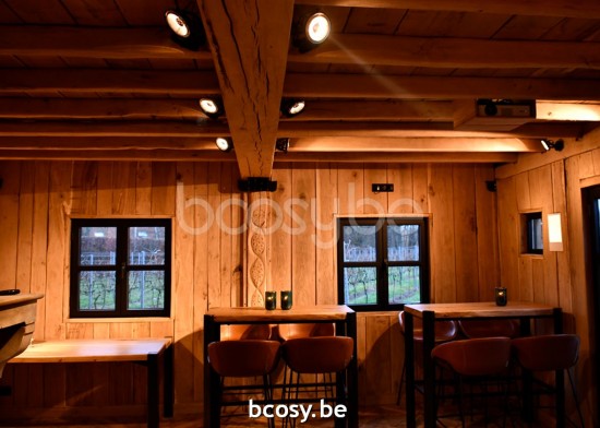 Authentage CEN0L1F83 CENTONZE opbouwspot G53 Bronze Authentage Opbouwspots.