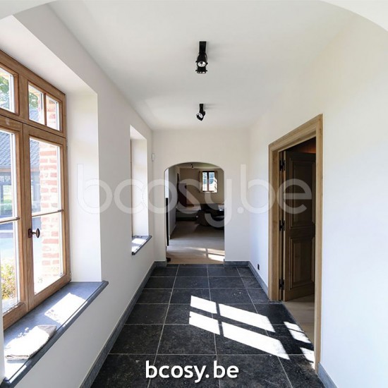 Authentage Comète on profile 30 cm - 2L Bronze COM0L2B03.