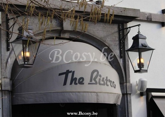 Feluce FEL-086 Feluce Wandlamp lantaarn buiten landelijk brons glas 1xE27.