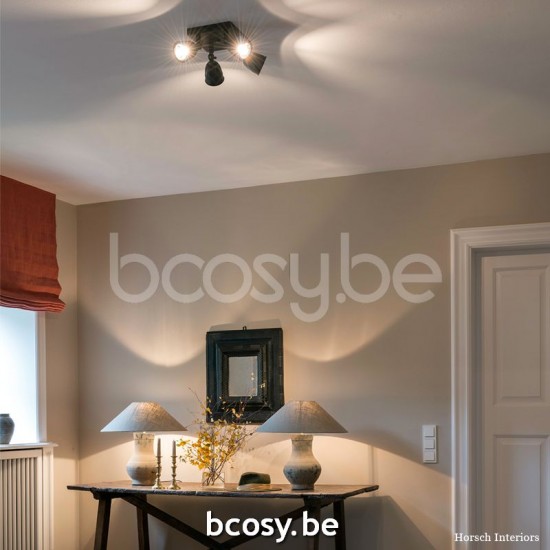 Authentage POI0L4V17 POIRE opbouwspot GU10 Bronze Authentage Opbouwspots.