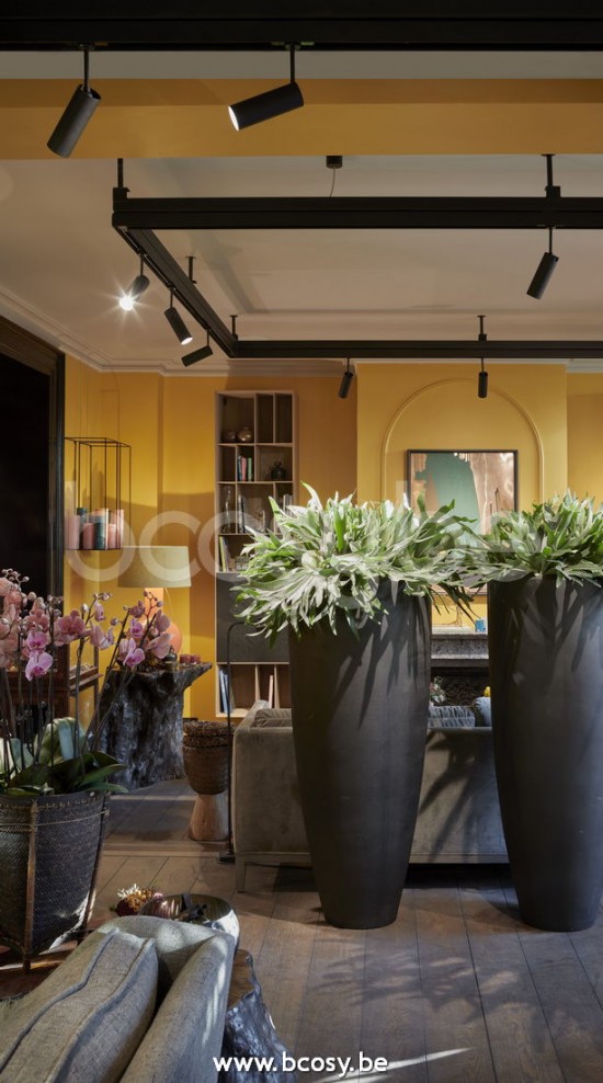 TEKNA FLATSPOT 6 F022ZWXL3A.