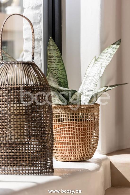 J Line Jline Set 5 Cesti Zostera Naturale Chiaro Set De 5 Cestas Oasis Pradera Marina Claro Natural