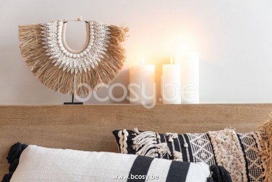 Jline Collar Dora Conchas Pradera Marinas Blanco Large