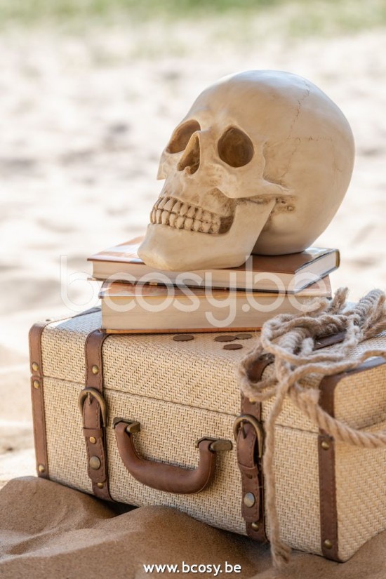 Jline Craneo Resina Beige Small