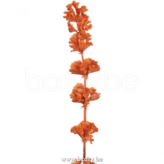 Jline 12122 Bloemen Fleurs Flowers Blumen Flores Fiori DECORATIE Kunst Bloemen Planten Bomen