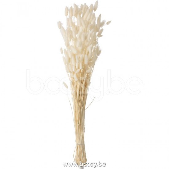 Jline 12366 Bloemen Fleurs Flowers Blumen Flores Fiori DECORATIE Kunst Bloemen Planten Bomen