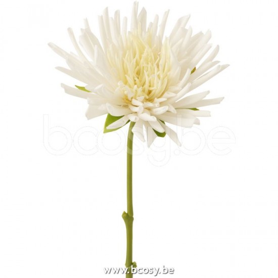 Jline 12413 Bloemen Fleurs Flowers Blumen Flores Fiori DECORATIE Kunst Bloemen Planten Bomen