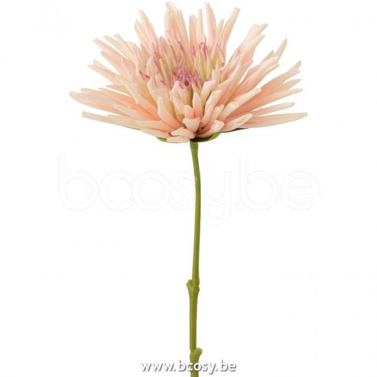Jline 12416 Bloemen Fleurs Flowers Blumen Flores Fiori DECORATIE Kunst Bloemen Planten Bomen