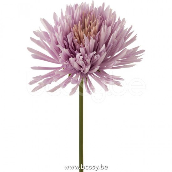 Jline 12427 Bloemen Fleurs Flowers Blumen Flores Fiori DECORATIE Kunst Bloemen Planten Bomen