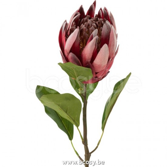 Jline 12460 Bloemen Fleurs Flowers Blumen Flores Fiori DECORATIE Kunst Bloemen Planten Bomen