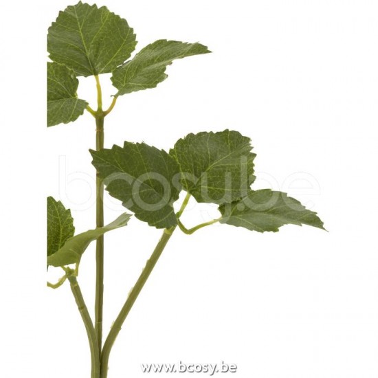 Jline 12474 Bloemen Fleurs Flowers Blumen Flores Fiori DECORATIE Kunst Bloemen Planten Bomen