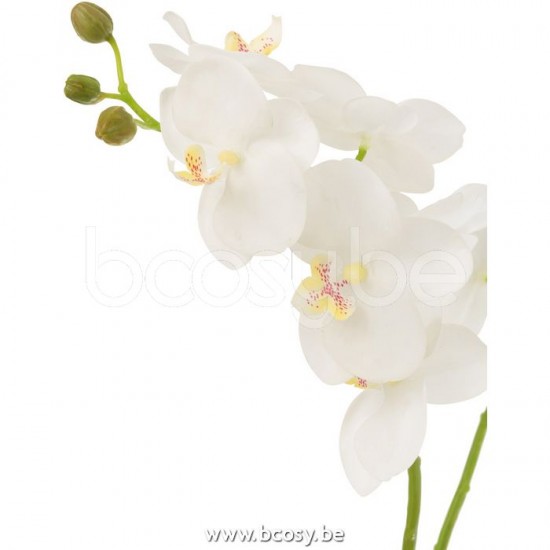 Jline 12487 Bloemen Fleurs Flowers Blumen Flores Fiori DECORATIE Kunst Bloemen Planten Bomen