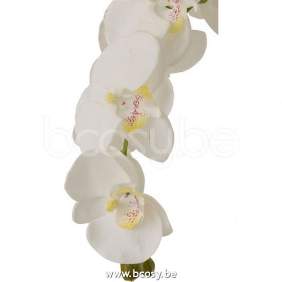 Jline 12489 Bloemen Fleurs Flowers Blumen Flores Fiori DECORATIE Kunst Bloemen Planten Bomen