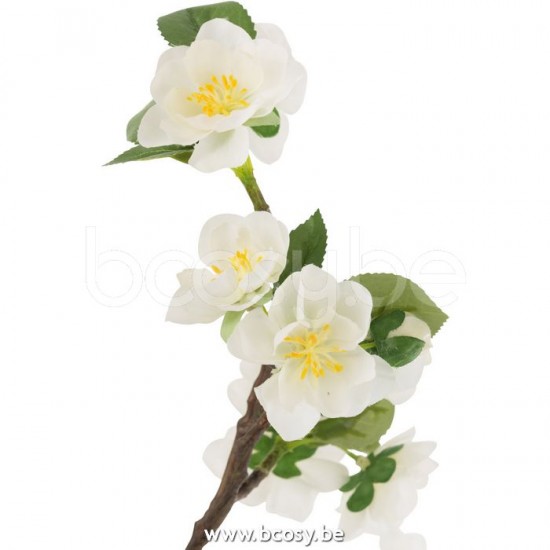 Jline 12492 Bloemen Fleurs Flowers Blumen Flores Fiori DECORATIE Kunst Bloemen Planten Bomen