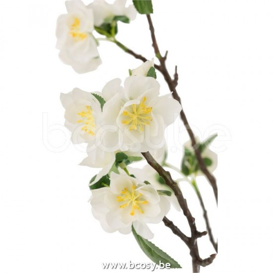 Jline 12493 Bloemen Fleurs Flowers Blumen Flores Fiori DECORATIE Kunst Bloemen Planten Bomen