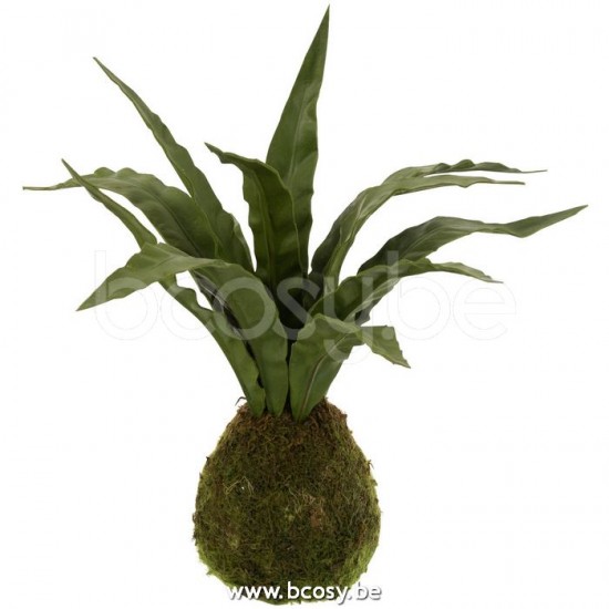 Jline 12520 Bloemen Fleurs Flowers Blumen Flores Fiori DECORATIE Kunst Bloemen Planten Bomen