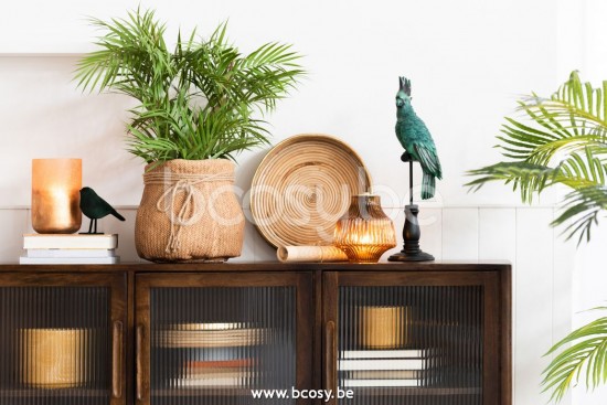 J Line Jline Palma In Vaso Plastica Verde Nero Small Chamaedorea En Maceta Plastico Verde Negro Small