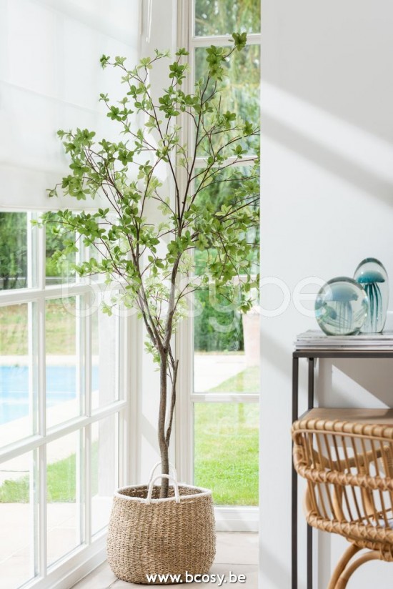 J Line Jline Pianta Fine Foglie Plastica Verde Nero Planta Fino Hojas Plastico Verde Negro