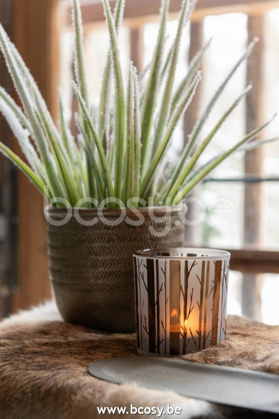 Jline Tarro Chalet Cemento Verde Oro Large