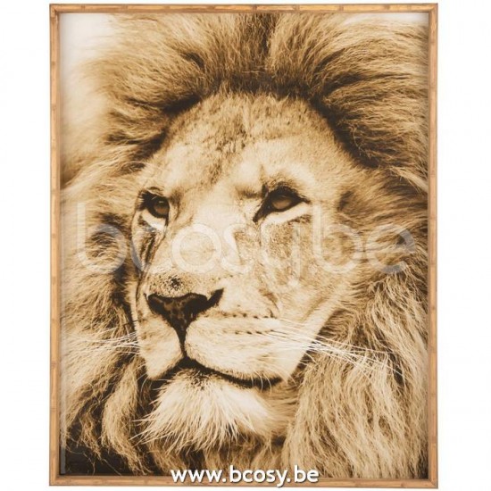 J Line Jline Jolipa 18519 Wanddecoratie Leeuw Hout Glas Bruin