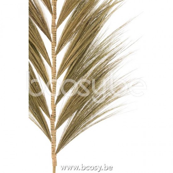 Jline 20741 Decomaterialen Matériel De Décoration Decoration Materials Dekomaterialien Materiales De Decoración Materiale Die Decorazione DECORATIE Kunst Bloemen Planten Bomen