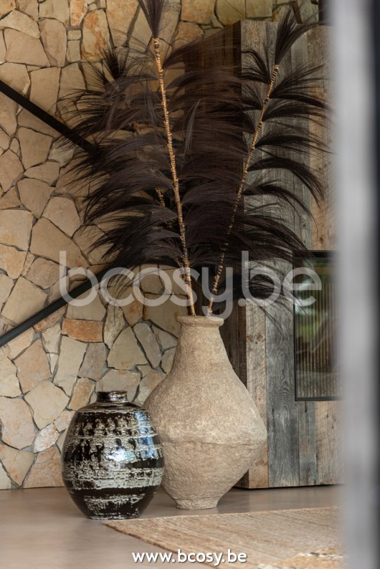 Jline Rama Rayung Hierba Negro