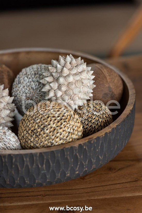 Jline Ball Shells Noa Brown Small