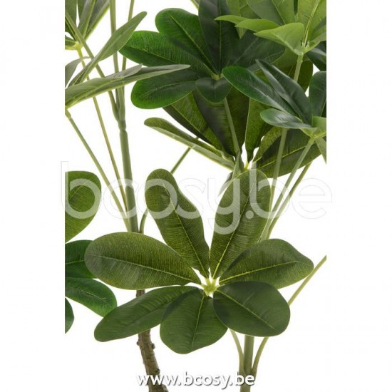 Jline 22023 Bloemen Fleurs Flowers Blumen Flores Fiori DECORATIE Kunst Bloemen Planten Bomen