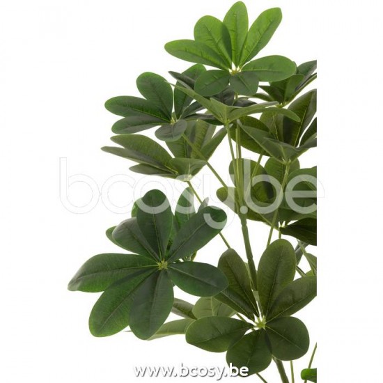 Jline 22024 Bloemen Fleurs Flowers Blumen Flores Fiori DECORATIE Kunst Bloemen Planten Bomen