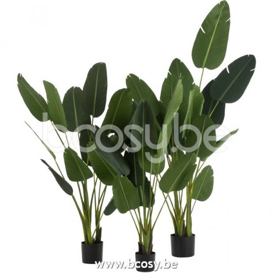 J Line Jline Jolipa 22032 Strelitzia Plastiek Groen Large