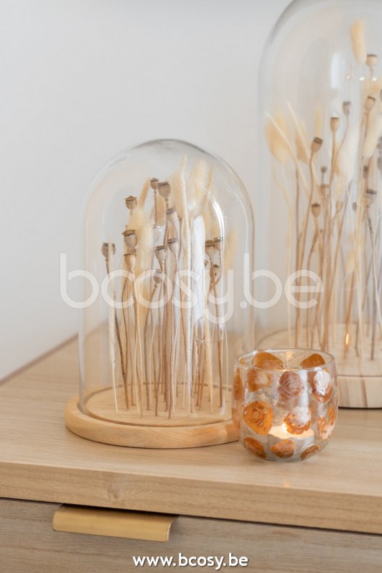 Jline Campana Flores Secas Ecru Marron Cristal Madera Small