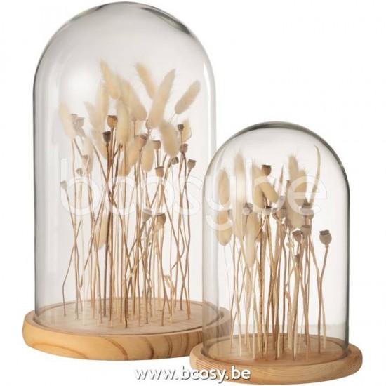 Jline 22248 Deco Objecten Objets Déco Decorative Objects Deko Objekte Objetos Deco Oggetti Di Decorazione DECORATIE Beelden