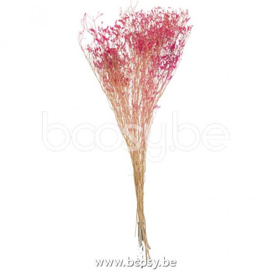 fleurs Jolipa J Line Jline Bouquet Gypsophile Seche Fuchsia