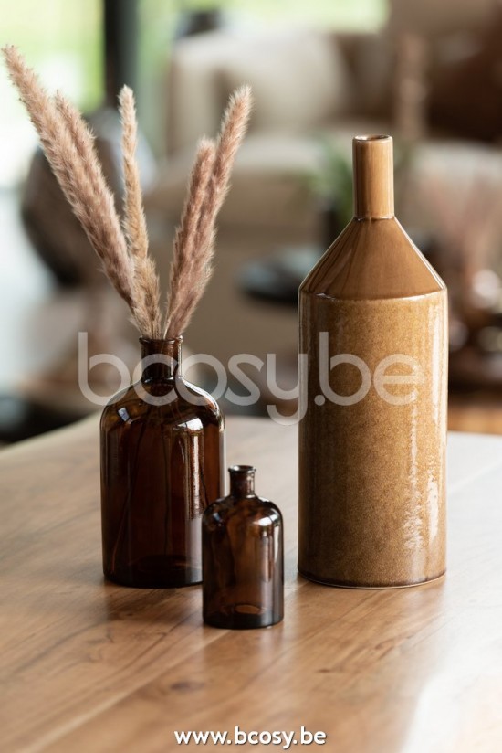 Jline Fardo Pennisetum Seca Hierba Marron