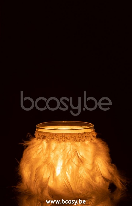 photophores Jolipa J Line Jline Photophore Plumes Blanc Verre Transparant Medium