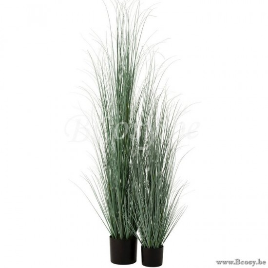 Jline 2739 Bloemen Fleurs Flowers Blumen Flores Fiori DECORATIE Kunst Bloemen Planten Bomen