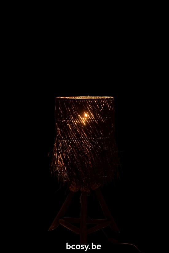 J Line Éclairage Armatures Luminaires D'intérieur Pieds De Lampe Avec Abat Jour Lampes De Table Jolipa Lampe Branche Arthur B.