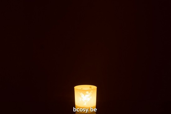 J Line photophores Jolipa Photophore Fleurs Verre Vert Small.