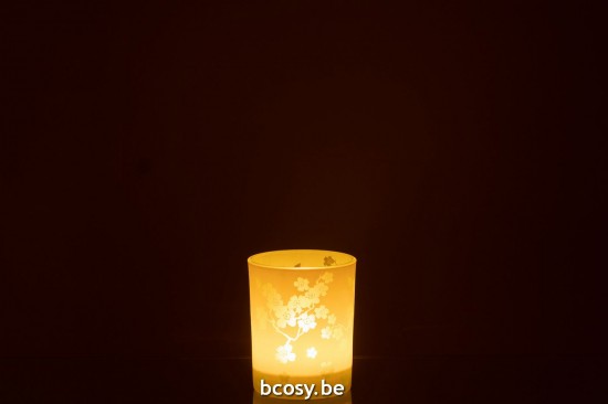 J Line photophores Jolipa Photophore Fleurs Verre Vert Medium.