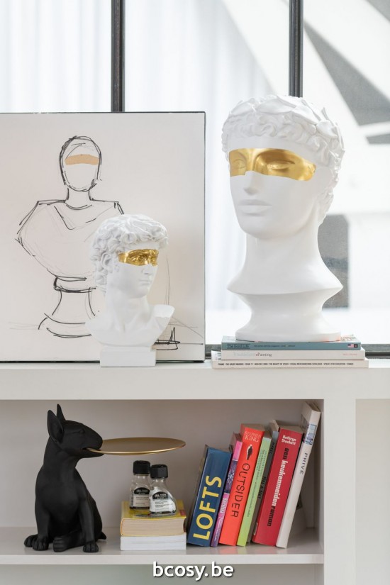 Jline Chien Plateau Poly Noir Dore.