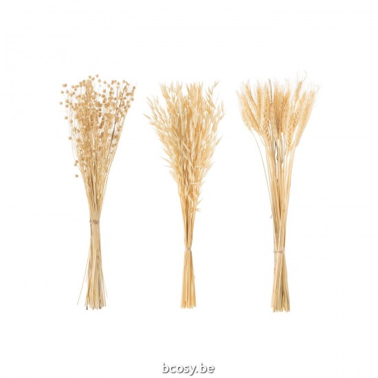 Jline 33001 Bloemen Fleurs Flowers Blumen Flores Fiori DECORATIE Kunst Bloemen Planten Bomen.